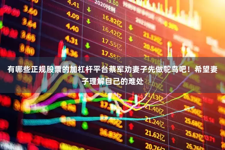 有哪些正规股票的加杠杆平台蔡军劝妻子先做鸵鸟吧！希望妻子理解自己的难处