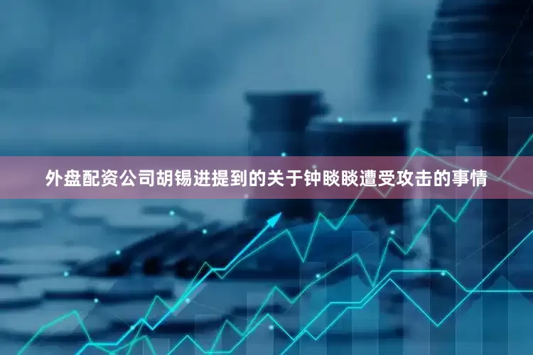 外盘配资公司胡锡进提到的关于钟睒睒遭受攻击的事情