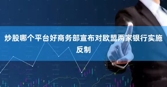 炒股哪个平台好商务部宣布对欧盟两家银行实施反制