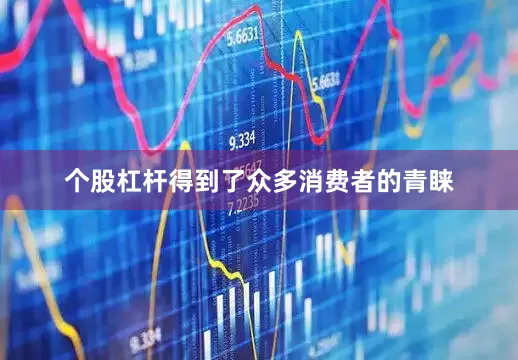 个股杠杆得到了众多消费者的青睐